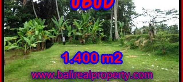 Fantastic Land for sale in Ubud Bali, Mountain and Ricefields view in Ubud Tegalalang– TJUB419