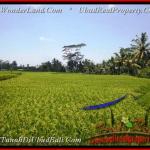 TSUB012 - TANAH DISEWAKAN - LAND FOR RENT & LEASE IN UBUD BALI by Bali Real Property - www.baliwonderland.com