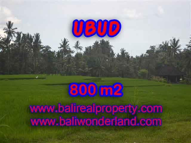Outstanding Property for sale in Bali, land for sale in Ubud Bali – TJUB396