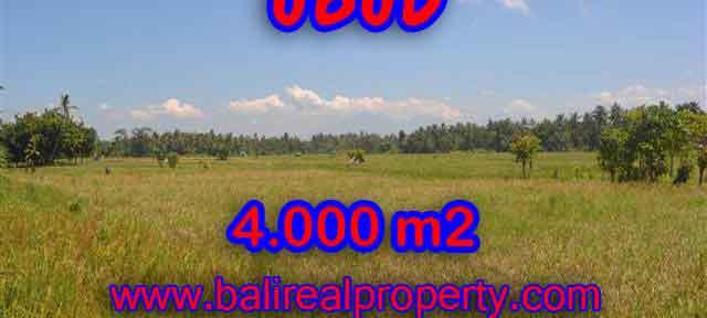 Land in Bali for sale, Stunning view in Ubud Bali – TJUB387