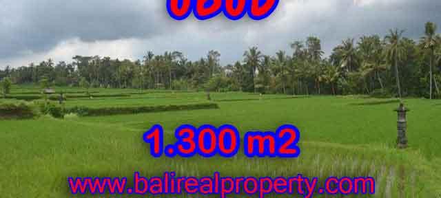 Beautiful Land for sale in Bali, Rice fields view in Ubud Bali – TJUB394