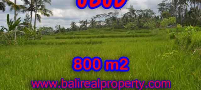 Amazing Land in Bali for sale in Ubud Pejeng Bali – TJUB393