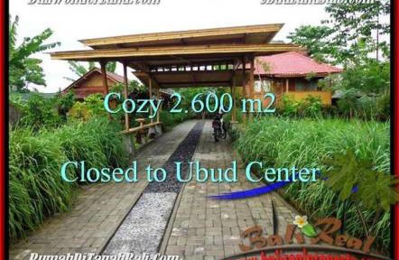 FOR SALE Magnificent 2,600 m2 LAND IN UBUD TJUB491