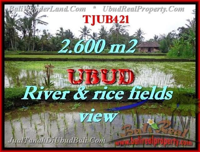 Exotic PROPERTY 2,600 m2 LAND IN UBUD BALI FOR SALE TJUB421