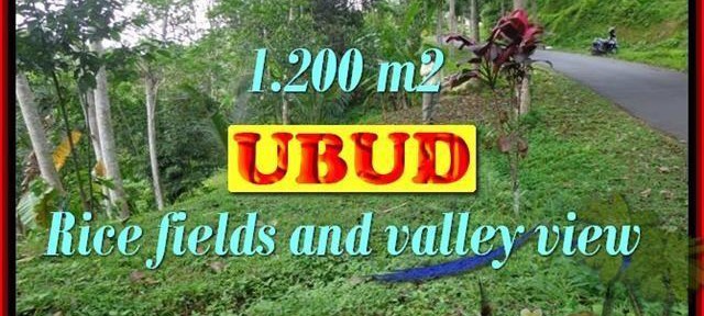 Affordable PROPERTY 1,200 m2 LAND FOR SALE IN UBUD BALI TJUB422