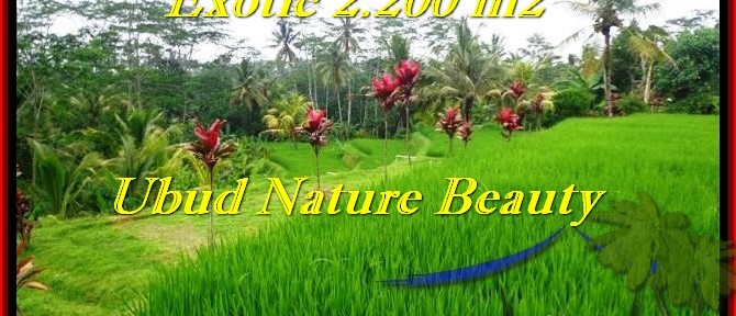 Magnificent LAND FOR SALE IN Ubud Tegalalang BALI TJUB480