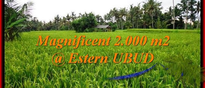 Magnificent LAND IN Ubud Pejeng BALI FOR SALE TJUB485