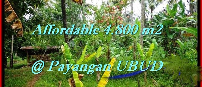 Beautiful 4,800 m2 LAND FOR SALE IN UBUD BALI TJUB486
