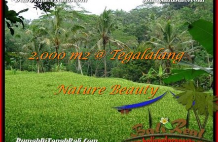Beautiful PROPERTY LAND IN Ubud Tegalalang FOR SALE TJUB490