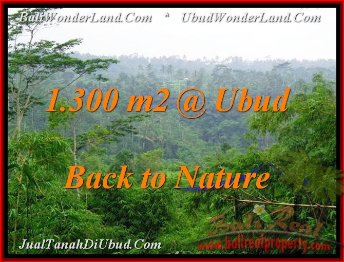 Exotic LAND SALE IN Ubud Tegalalang BALI TJUB481