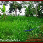 Exotic LAND SALE IN Ubud Tegalalang BALI TJUB481