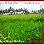 Magnificent PROPERTY 360 m2 LAND IN Ubud Tegalalang FOR SALE TJUB482