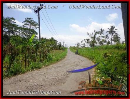 Beautiful PROPERTY LAND SALE IN Ubud Tegalalang BALI TJUB451