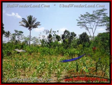 FOR SALE 2.670 m2 LAND IN Ubud Tegalalang BALI TJUB451
