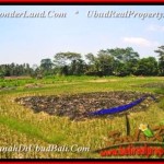 Exotic LAND FOR SALE IN Ubud Tampak Siring BALI TJUB457
