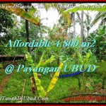 Affordable PROPERTY 4,800 m2 LAND FOR SALE IN Ubud Payangan TJUB486