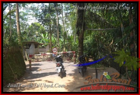 Magnificent PROPERTY LAND IN UBUD FOR SALE TJUB431