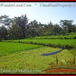 FOR SALE Exotic 2.885 m2 LAND IN UBUD TJUB442