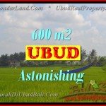 Affordable PROPERTY LAND FOR SALE IN UBUD TJUB427