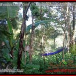 Exotic PROPERTY LAND IN UBUD FOR SALE TJUB425