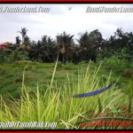 LAND SALE IN Sentral Ubud BALI TJUB510