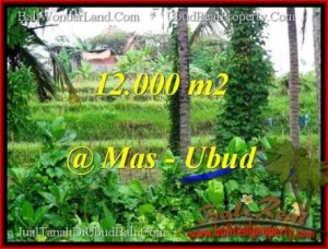 Affordable UBUD BALI 12,000 m2 LAND FOR SALE TJUB492