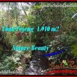 Magnificent PROPERTY Ubud Pejeng 1,910 m2 LAND FOR SALE TJUB504