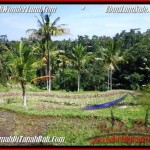 Beautiful PROPERTY 1,900 m2 LAND SALE IN Ubud Tegalalang TJUB505