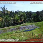 Beautiful PROPERTY 1,900 m2 LAND SALE IN Ubud Tegalalang TJUB505