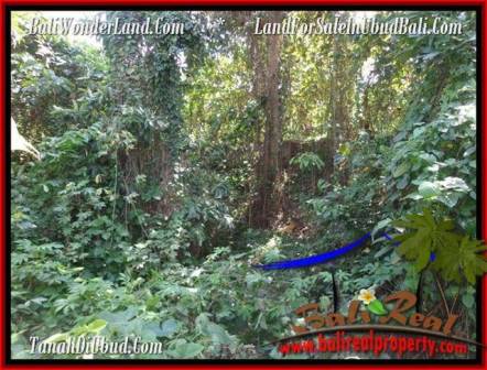 FOR SALE Magnificent PROPERTY LAND IN UBUD TJUB509