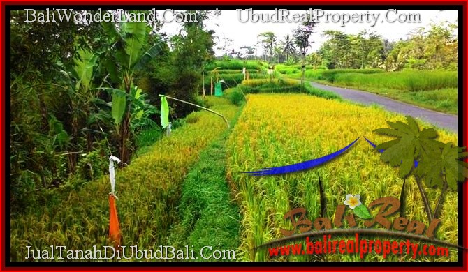 Exotic PROPERTY 700 m2 LAND IN Ubud Tegalalang FOR SALE TJUB497