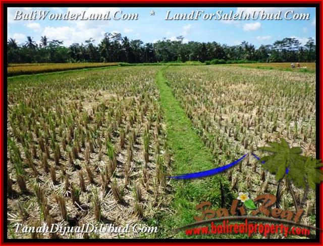 Affordable PROPERTY 2,800 m2 LAND FOR SALE IN Ubud Pejeng TJUB498