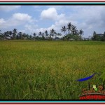 FOR SALE Beautiful PROPERTY 650 m2 LAND IN Ubud Tampak Siring TJUB522