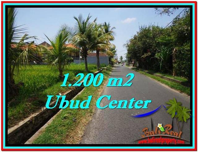 FOR SALE Magnificent 1,200 m2 LAND IN UBUD BALI TJUB525