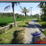 FOR SALE Exotic PROPERTY LAND IN UBUD TJUB528
