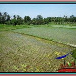 Magnificent PROPERTY LAND FOR SALE IN UBUD BALI TJUB529