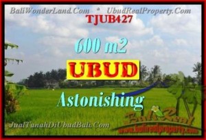 FOR SALE Beautiful PROPERTY LAND IN UBUD TJUB427