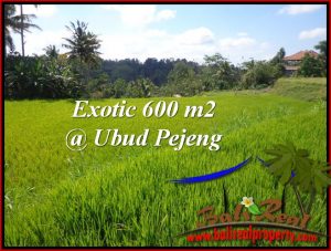 Magnificent PROPERTY LAND FOR SALE IN UBUD BALI TJUB513