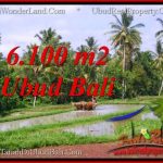 Affordable 6,100 m2 LAND SALE IN UBUD BALI TJUB552