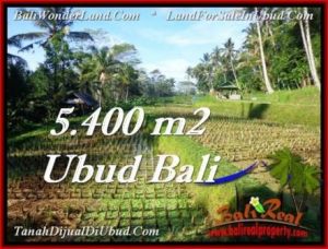 FOR SALE Affordable 5,400 m2 LAND IN UBUD TJUB554