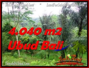 Magnificent 4,040 m2 LAND IN UBUD BALI FOR SALE TJUB555