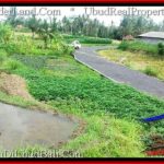 Beautiful PROPERTY 6,100 m2 LAND IN Ubud Pejeng FOR SALE TJUB547