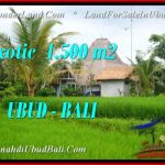Exotic PROPERTY 1,500 m2 LAND IN Ubud Pejeng BALI FOR SALE TJUB541