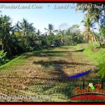 Magnificent LAND IN UBUD FOR SALE TJUB554