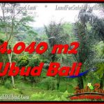 Beautiful PROPERTY 4,040 m2 LAND SALE IN Ubud Tegalalang TJUB555
