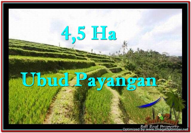Beautiful 45,000 m2 LAND FOR SALE IN Ubud Payangan TJUB533