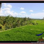 Beautiful 45,000 m2 LAND FOR SALE IN Ubud Payangan TJUB533