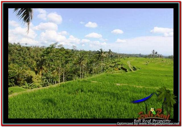 Beautiful 45,000 m2 LAND FOR SALE IN Ubud Payangan TJUB533