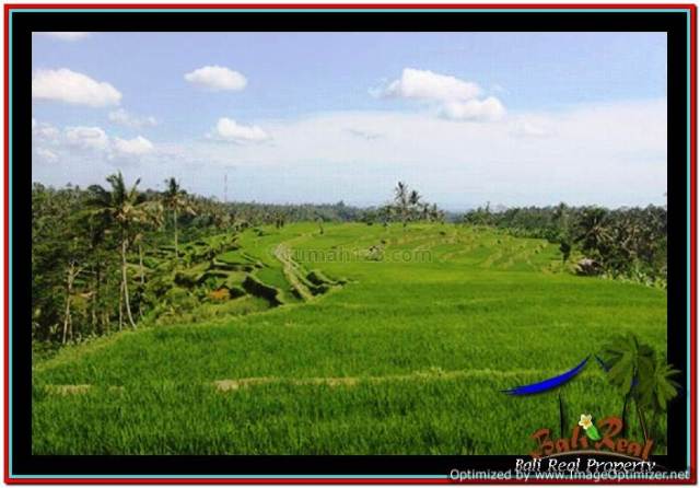 Beautiful 45,000 m2 LAND FOR SALE IN Ubud Payangan TJUB533