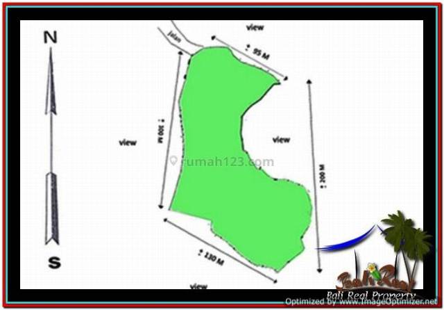 Beautiful 45,000 m2 LAND FOR SALE IN Ubud Payangan TJUB533